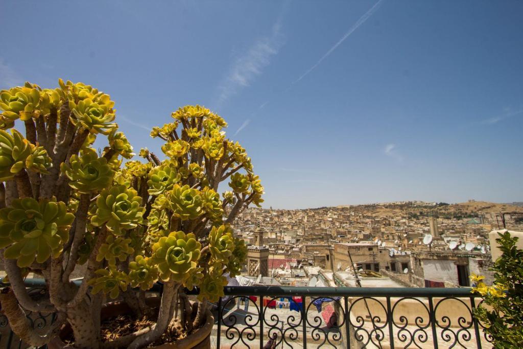 Riad La Source Bleue Fez Room photo